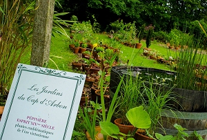 Chasse aux œufs 2023 aux Jardins du Cap d'Arbon [4 - 703]