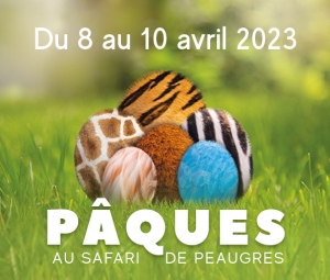 Chasse aux œufs 2023 au Safari de Peaugres [1 - 705]